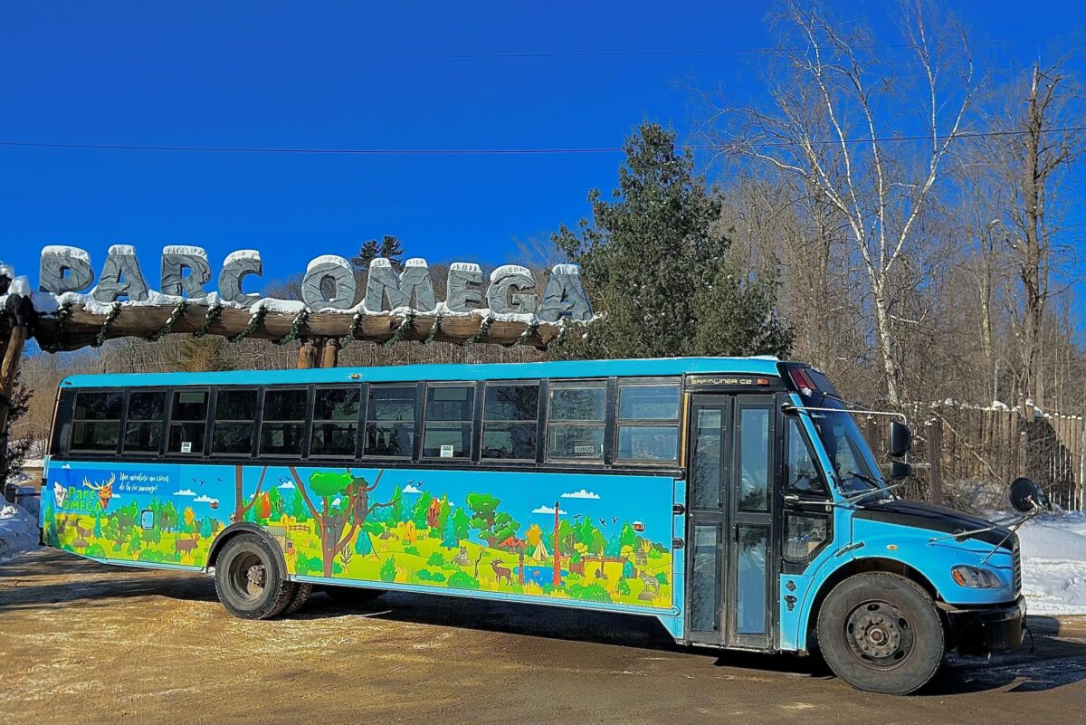 Omega bus, guide or Combos | Parc Omega